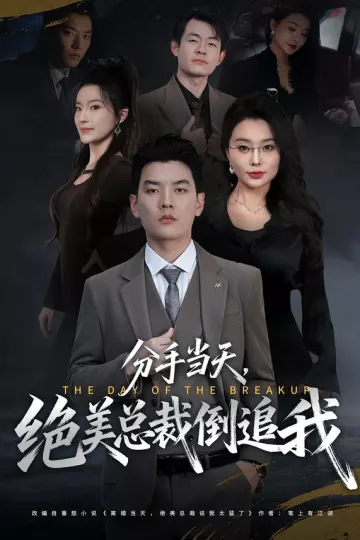 分手当天,绝美总裁倒追我