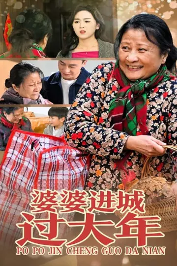 婆婆进城过大年