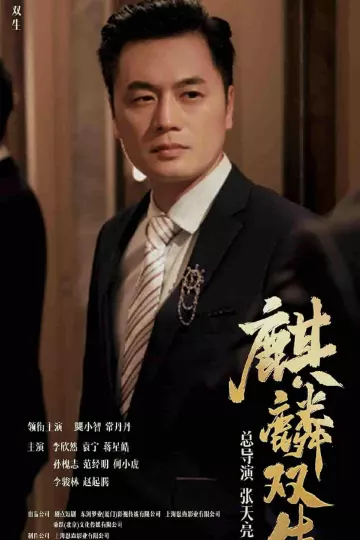 麒麟双生