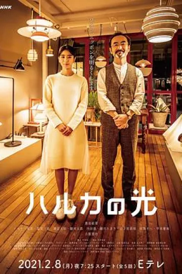 遥之光