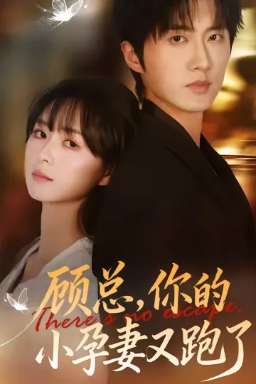 顾总，你的小孕妻又跑了