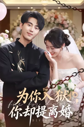 为你入狱,你却提离婚