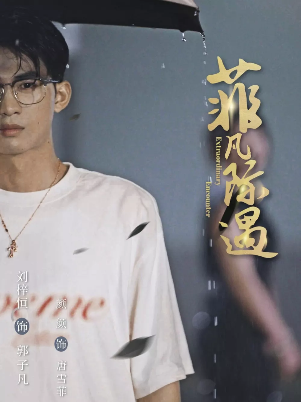 菲凡际遇