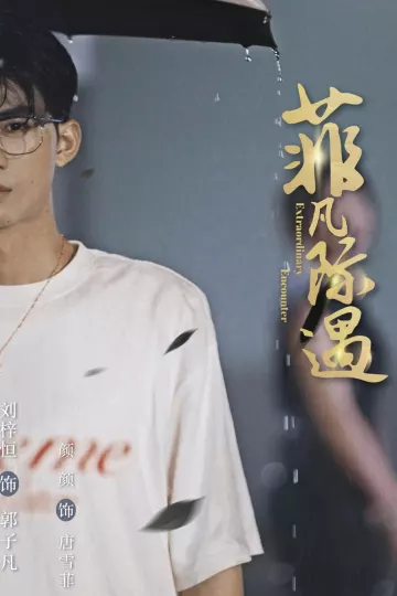 菲凡际遇