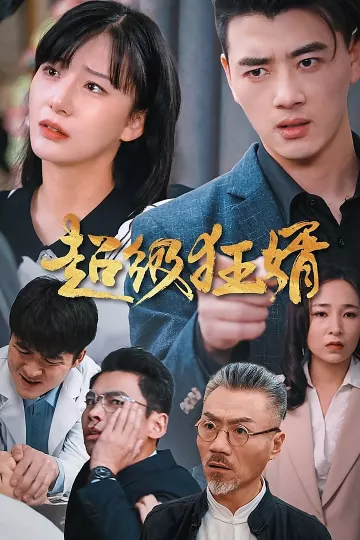 超级狂婿