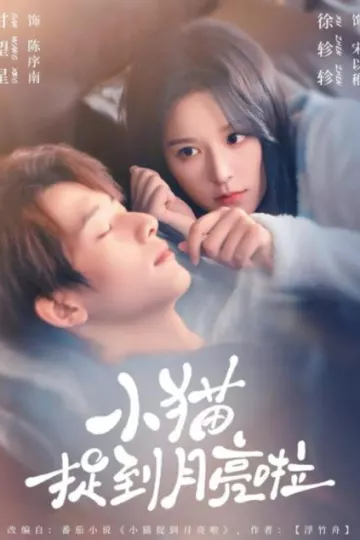 小猫捉到月亮啦