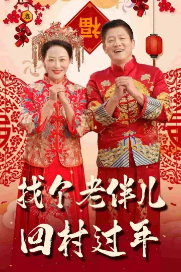 找个老伴儿回村过年