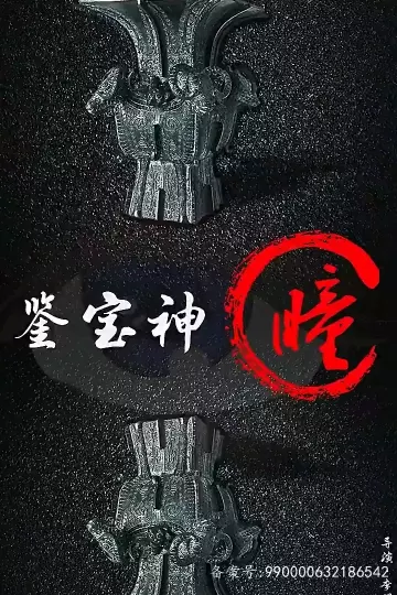 鉴宝神瞳