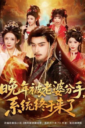 晚年被老婆分手,系统终于来了