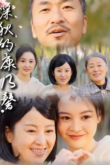 深秋的康乃馨