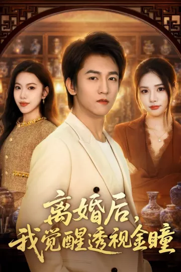 离婚后,我觉醒透视金瞳