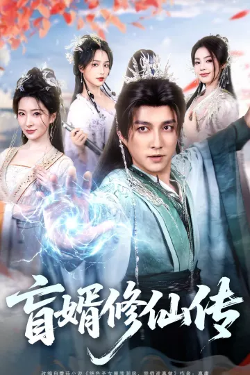 盲婿修仙传