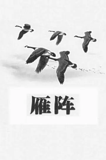 雁阵1991[电影解说]