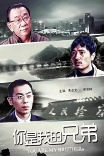 你是我的兄弟