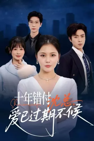 十年错付：沈总，爱已过期不候