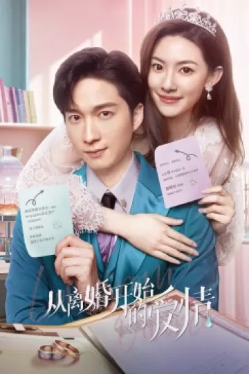 从离婚开始的爱情