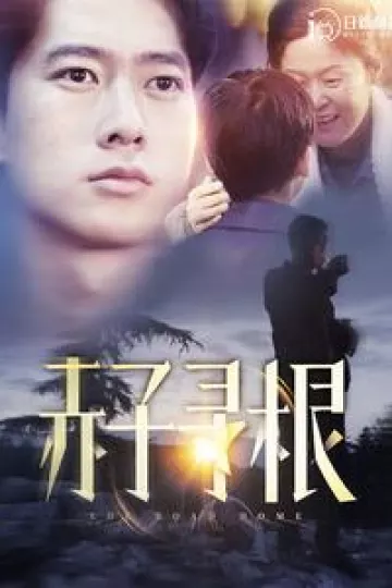 赤子寻根