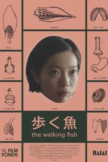 弹涂鱼女孩[电影解说]