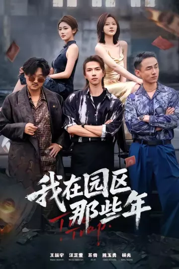 我在园区那些年