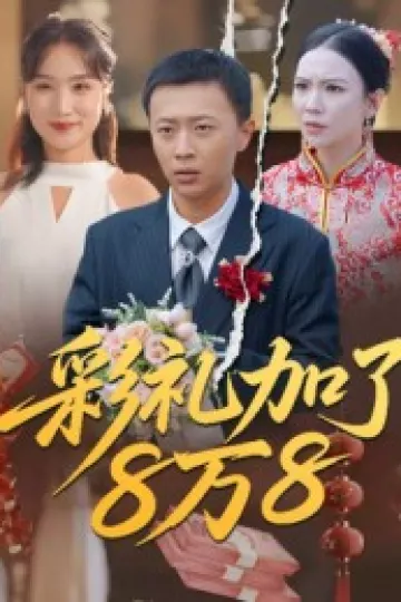 彩礼加了8万8