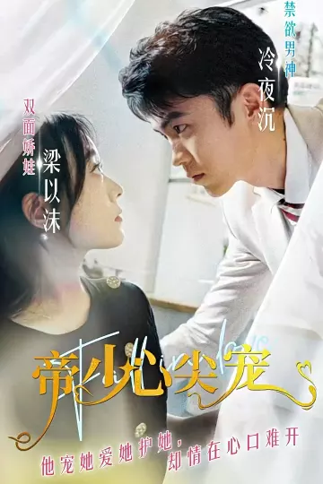 帝少心尖宠