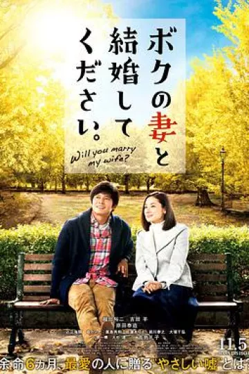 请和我的妻子结婚2016