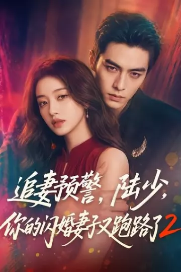 追妻预警,陆少,你的闪婚妻子又跑路了2