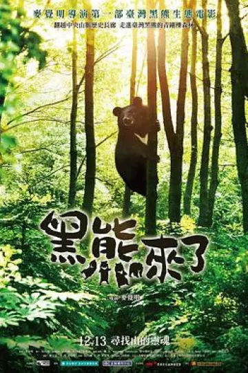 黑熊来了