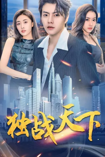 独战天下