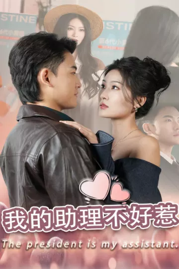 我的助理不好惹