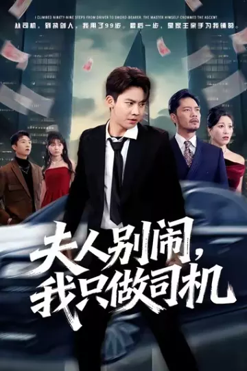夫人别闹我只做司机