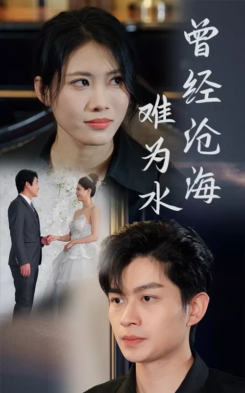 曾经沧海难为水（短剧版）