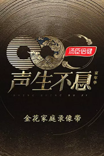 声生不息·家年华金花家庭录像带