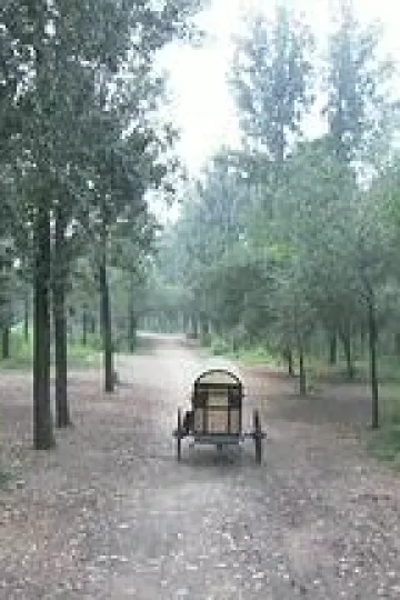 错门记