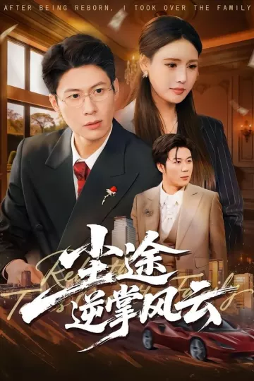 尘途逆掌风云