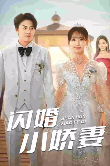 闪婚小娇妻