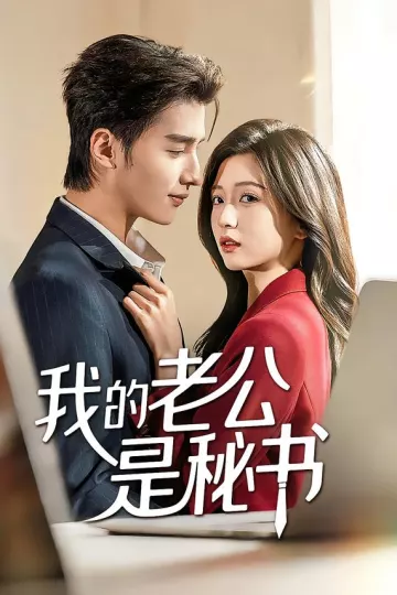 我的老公是秘书