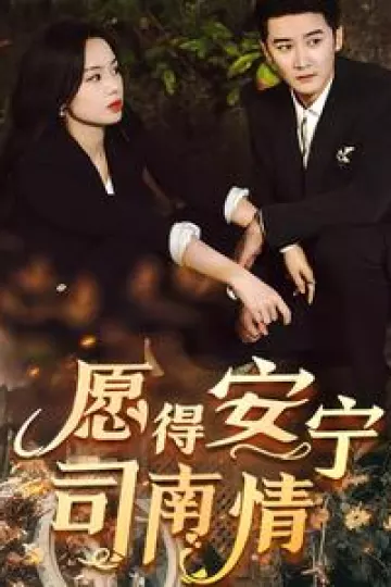 愿得安宁司南情