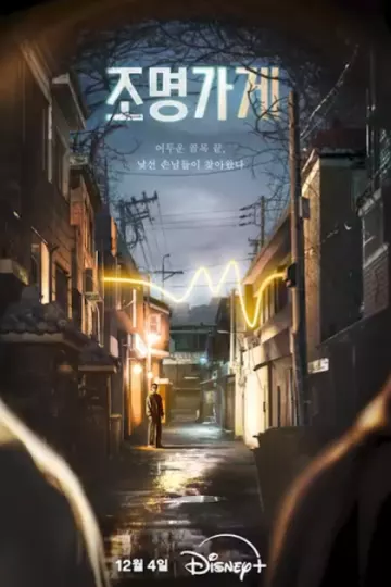 罗英锡的吵吵闹闹照明商店