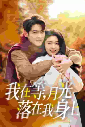 我在等月光落在我身上