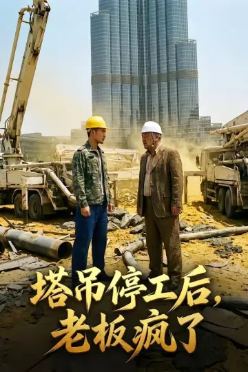 塔吊停工后老板疯了