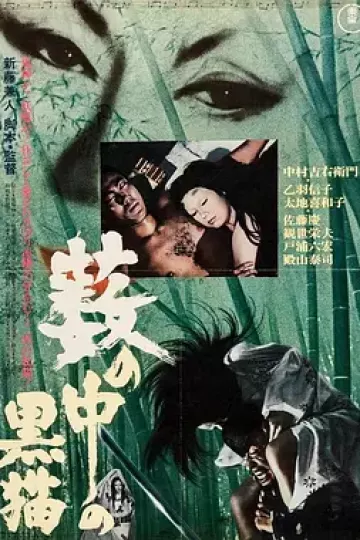 黑猫1968[电影解说]