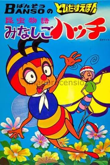 小蜜蜂寻亲记[电影解说]