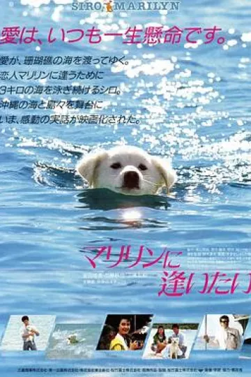 想见玛丽琳
