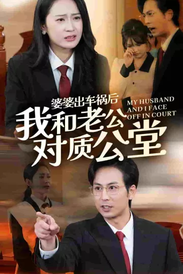 婆婆出车祸后我和老公对质公堂
