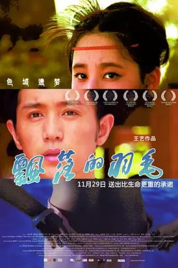 飘落的羽毛