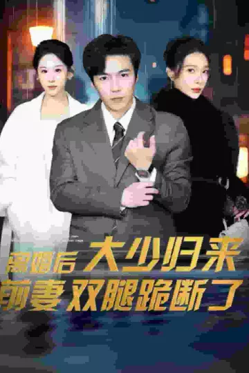 离婚后大少归来前妻双腿跪断了