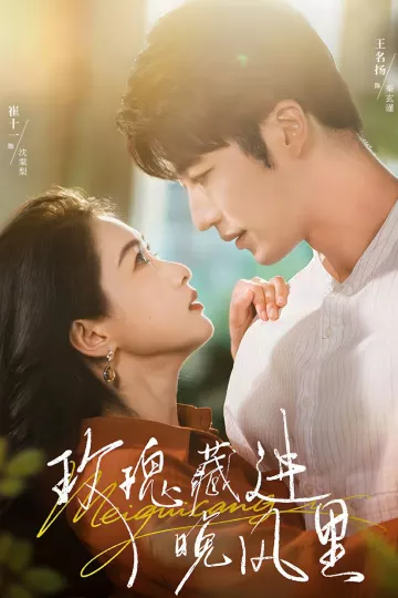 玫瑰藏进晚风里