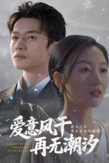 爱意风干再无潮汐