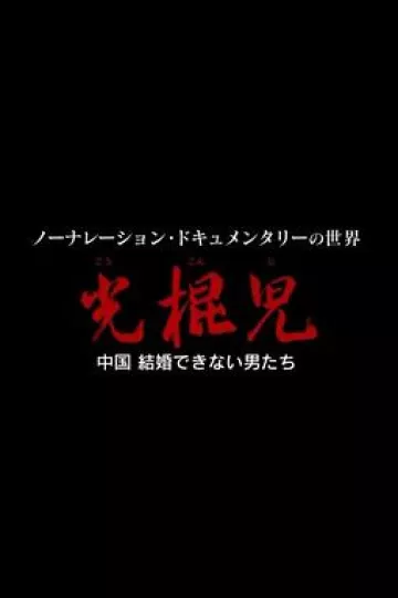 光棍儿：中国结不了婚的男人们[电影解说]